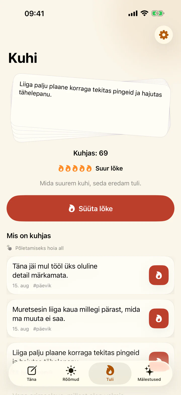 Raske päevikusissekande põletamine rakenduses Rõõmud ja mured