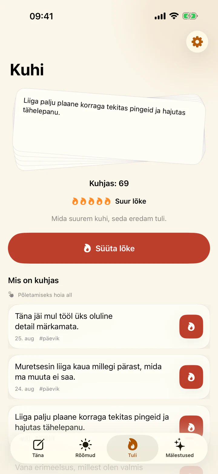 Raske päevikusissekande põletamine rakenduses Rõõmud ja mured