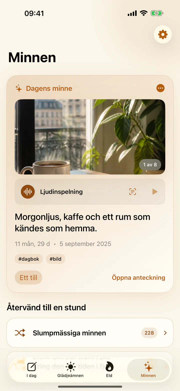 Vyn Minnen i Glädjeämnen & bekymmer med tidigare glädjefyllda anteckningar