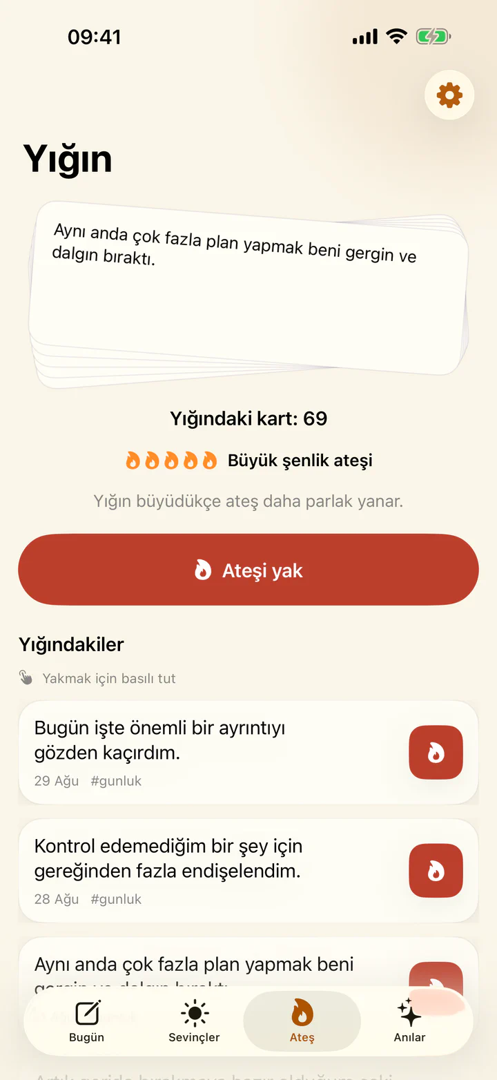 Joys & Woes içinde zor bir günlük kaydının yakılması